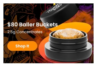 Jungle Boys: Concentrates deal