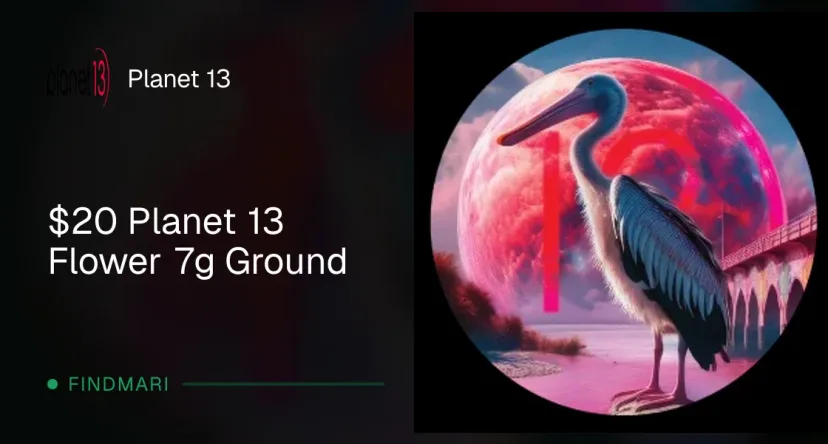 Planet 13: $20 Planet 13 Flower 7g Ground in Florida