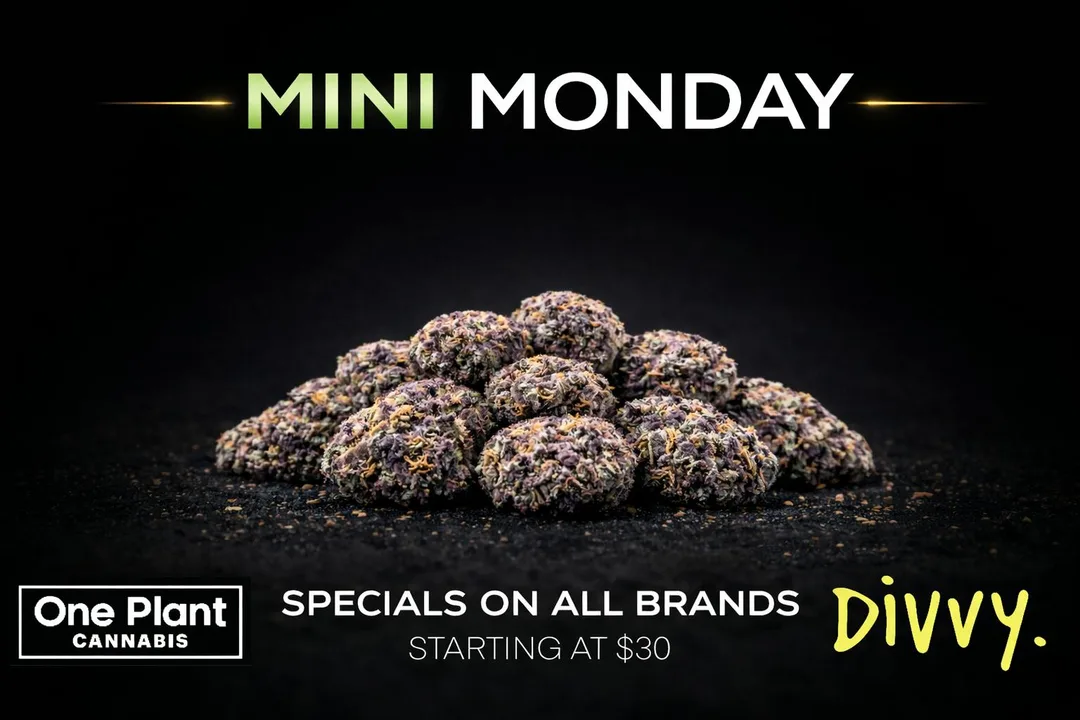 One Plant: Mini Monday Specials on All Brands Starting at $30, flower deal in Florida
