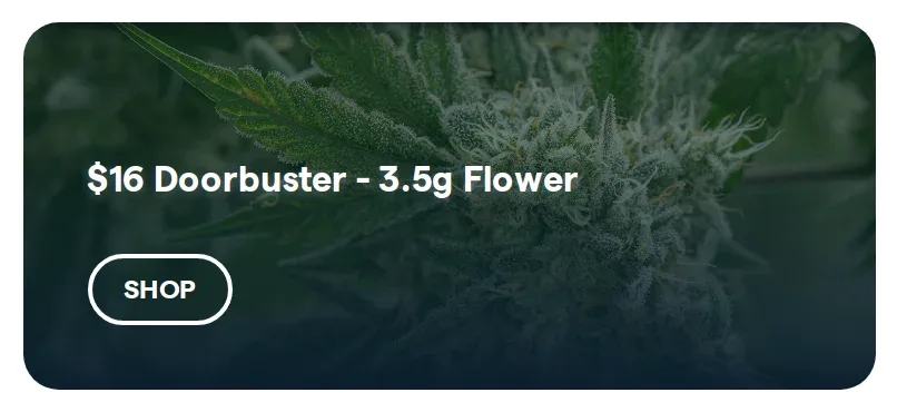 Insa: $16 Doorbuster - 3.5g Flower, oferta de flor en Florida