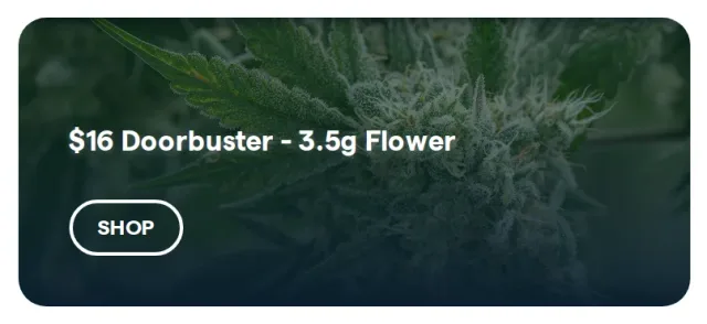 Insa: $16 Doorbuster - 3.5g Flower