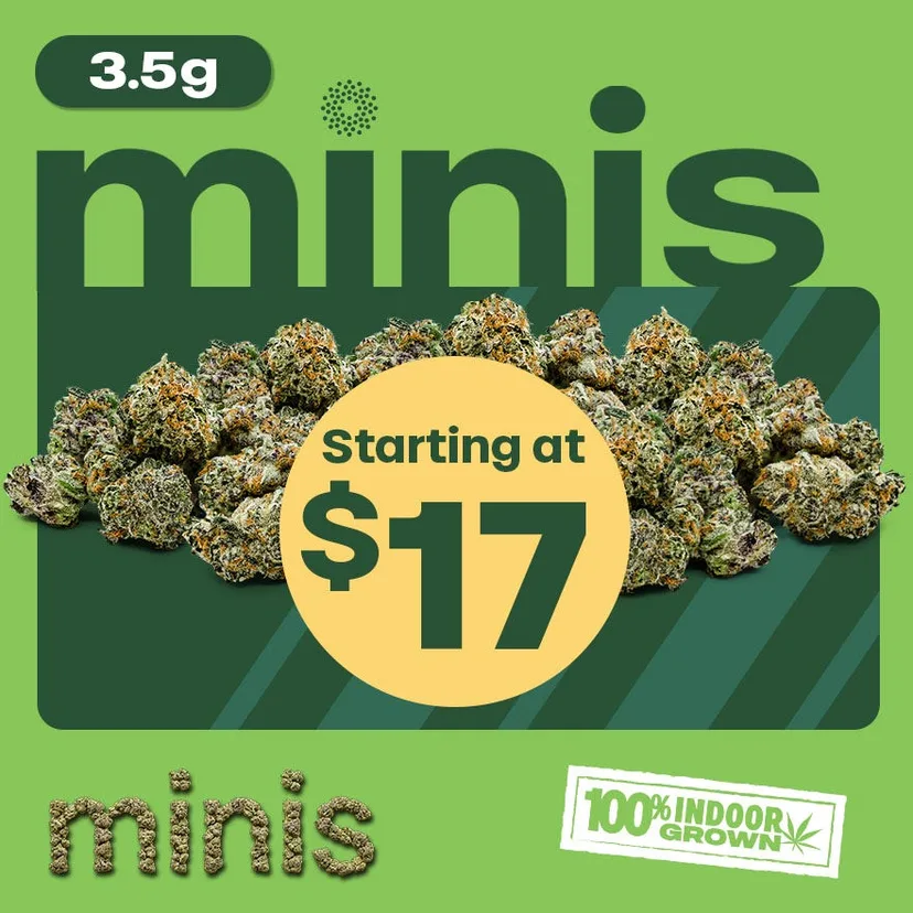 Trulieve: 3.5g minis starting at $17, flower deal in Florida