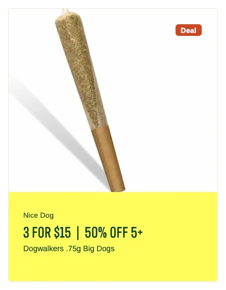 Rise: 3 FOR $15 | 50% OFF 5+ in Florida