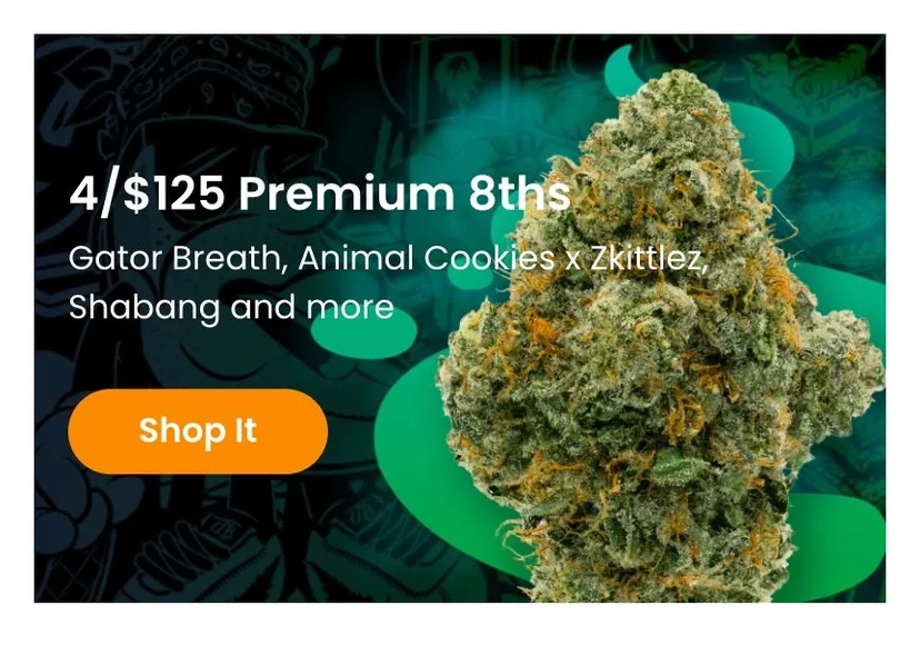 Jungle Boys: 4/$125 Premium 8ths, flower deal in Florida