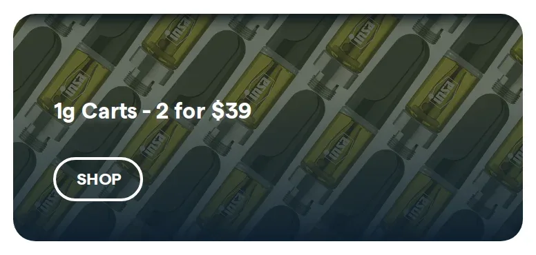 Insa: 1g Carts - 2 for $39, vapes deal in Florida