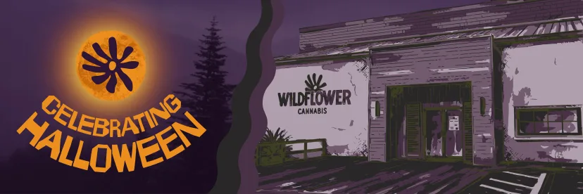 WildFlower Cannabis: Today's deal in Florida