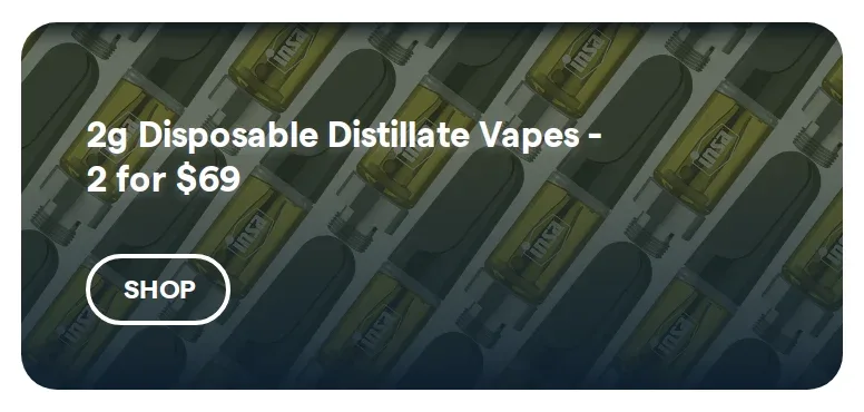 Insa: 2g Disposable Distillate Vapes - 2 for $69 in Florida