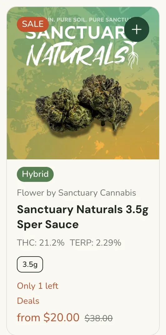 Sanctuary Cannabis: Sanctuary Naturals 3.5g Sper Sauce from $20.00, concentrates deal in Florida