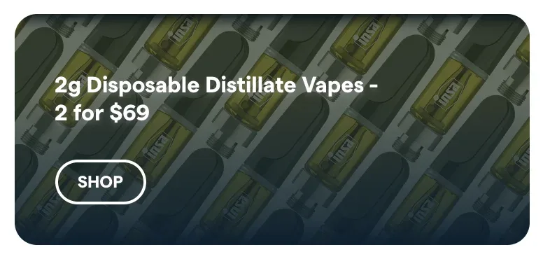 Insa: 2g Disposable Distillate Vapes - 2 for $69 in Florida