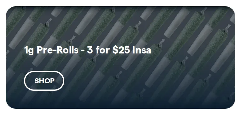 Insa deal