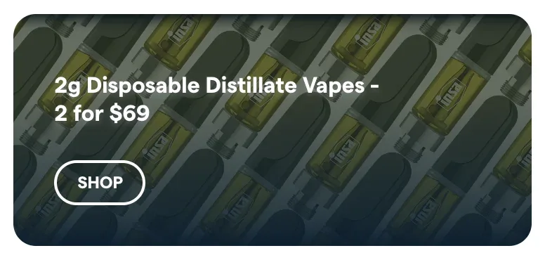 Insa: 2g Disposable Distillate Vapes - 2 for $69, oferta de vapeadores en Florida