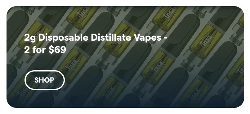 Insa: 2g Disposable Distillate Vapes - 2 for $69 in Florida