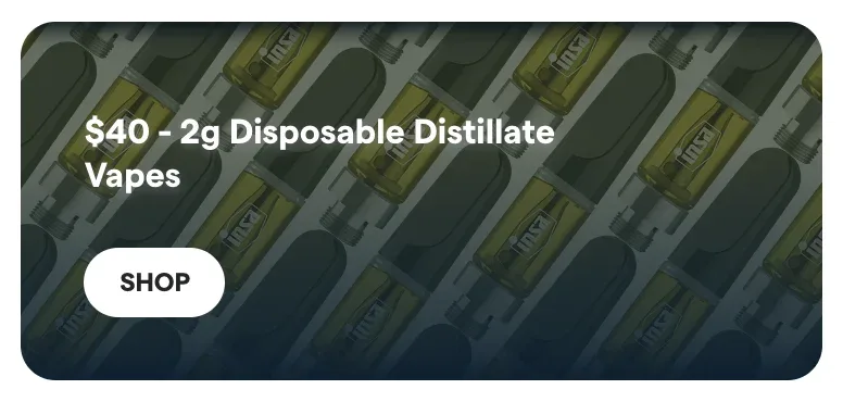 Insa: $40 - 2g Disposable Distillate Vapes, oferta de vapeadores en Florida