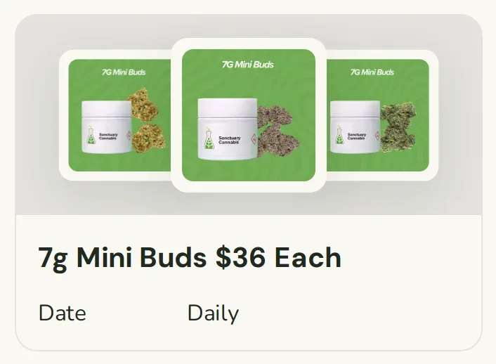 Sanctuary Cannabis: 7g Mini Buds $36 Each, oferta de flor en Florida