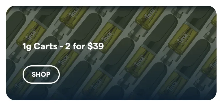 Insa: 1g Carts - 2 for $39, vapes deal in Florida