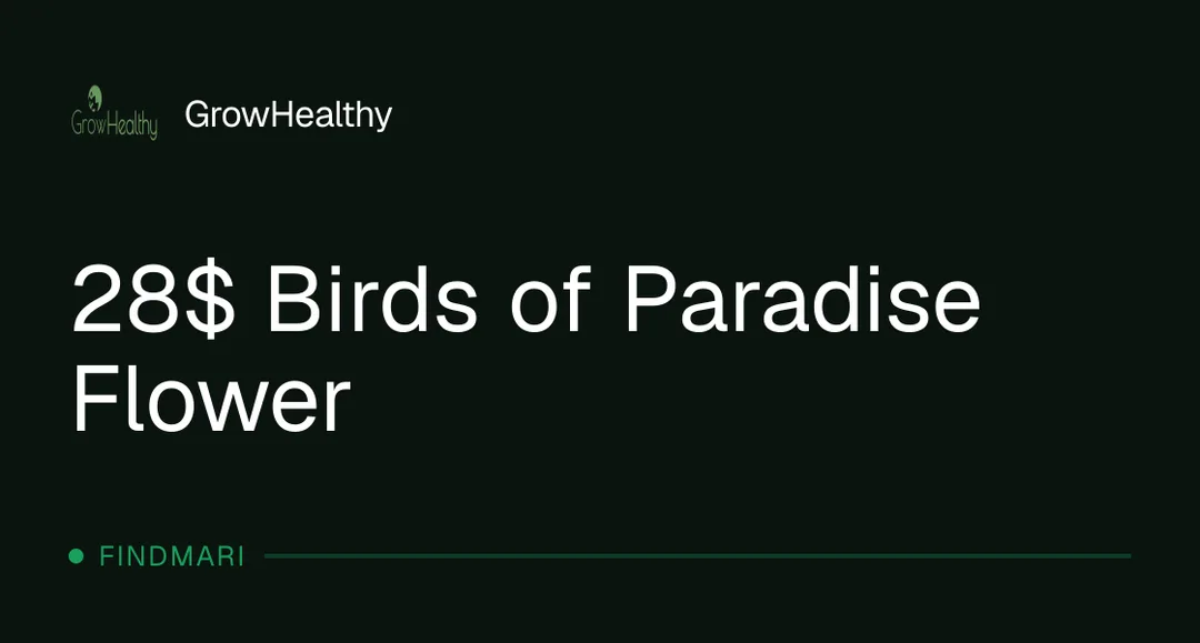 GrowHealthy: 28$ Birds of Paradise Flower in Florida