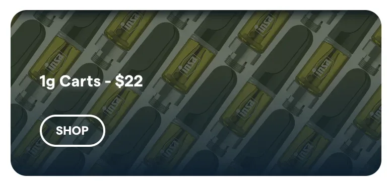 Insa: 1g Carts - $22, oferta de vapeadores en Florida