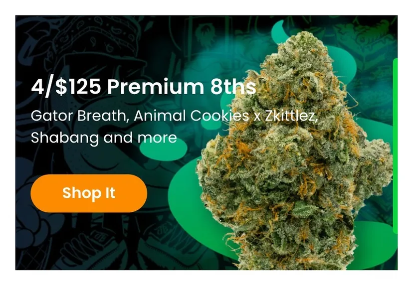 Jungle Boys: 4/$125 Premium 8ths, flower deal in Florida