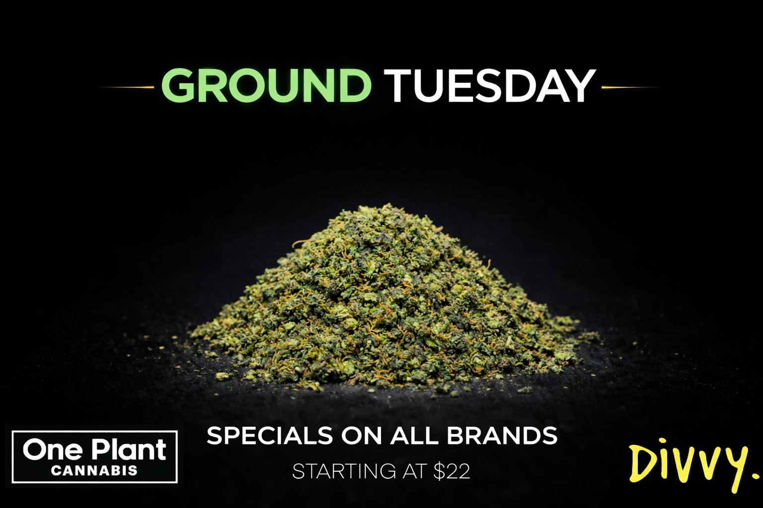 One Plant: Ground Tuesday - Specials on All Brands Starting at $22