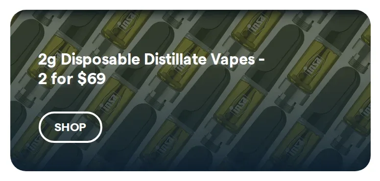 Insa: 2g Disposable Distillate Vapes - 2 for $69 in Florida