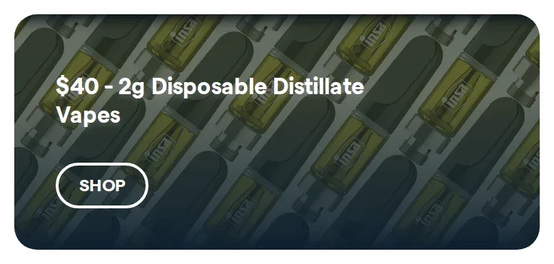 Insa: $40 - 2g Disposable Distillate Vapes, oferta de vapeadores en Florida