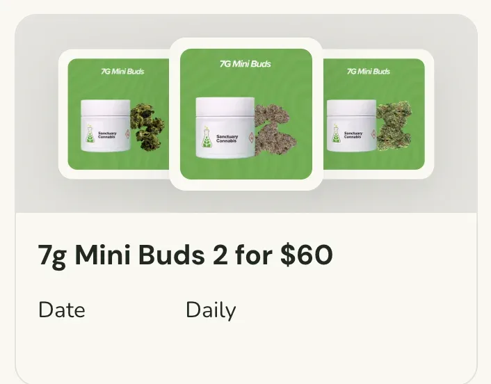 Sanctuary Cannabis: 7g Mini Buds 2 for $60, flower deal in Florida