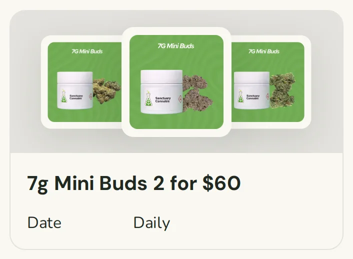 Sanctuary Cannabis: 7g Mini Buds 2 for $60