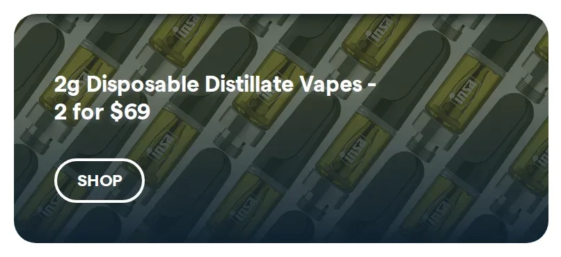 Insa: 2g Disposable Distillate Vapes - 2 for $69 in Florida