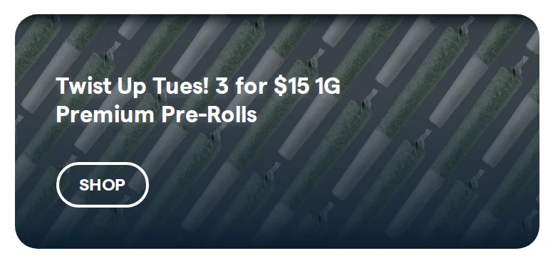 Insa deal
