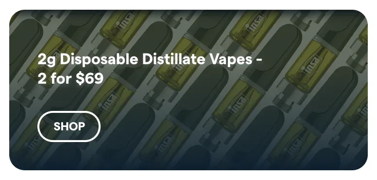 Insa: 2g Disposable Distillate Vapes - 2 for $69 in Florida