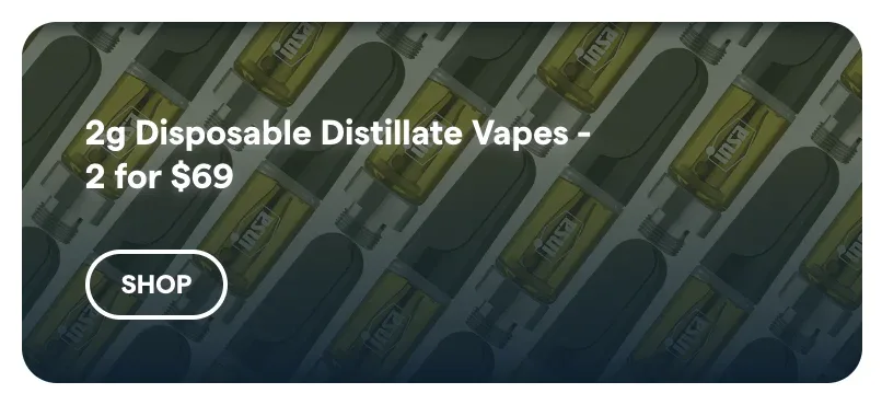 Insa: 2g Disposable Distillate Vapes - 2 for $69 in Florida