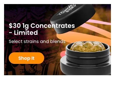Jungle Boys: Concentrates deal