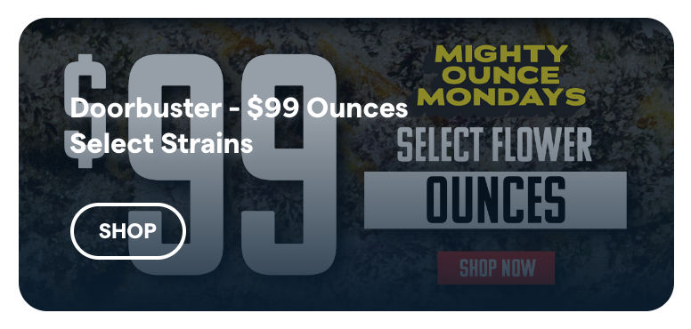 Insa deal