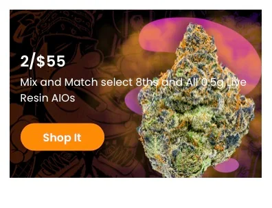 Jungle Boys: Flower deal