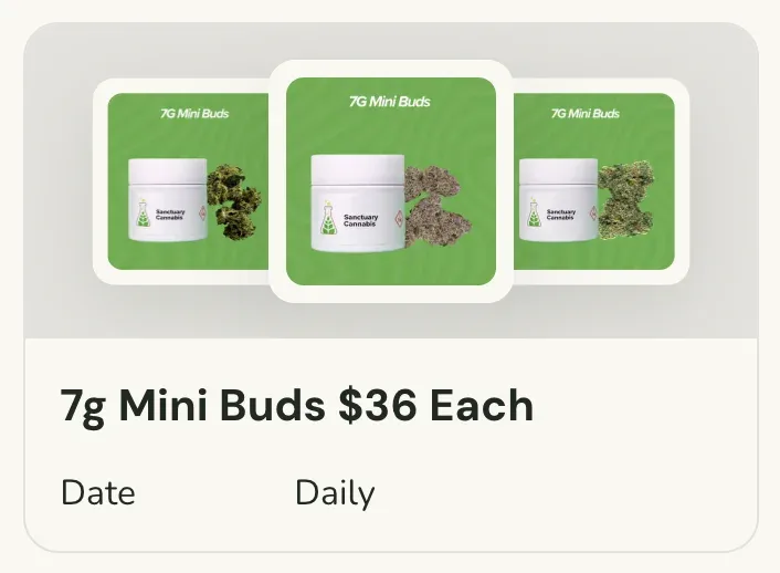 Sanctuary Cannabis: 7g Mini Buds $36 Each, flower deal in Florida