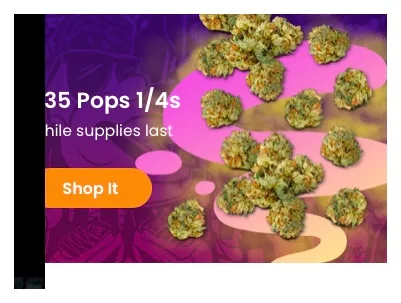 Jungle Boys: 35 Pops 1/4s While Supplies Last