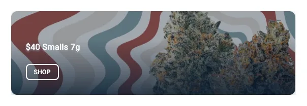 WildFlower Cannabis: $40 Smalls 7g, flower deal in Florida