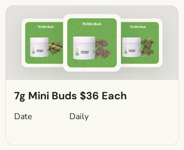Sanctuary Cannabis: 7g Mini Buds $36 Each