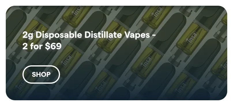 Insa: 2g Disposable Distillate Vapes - 2 for $69 in Florida