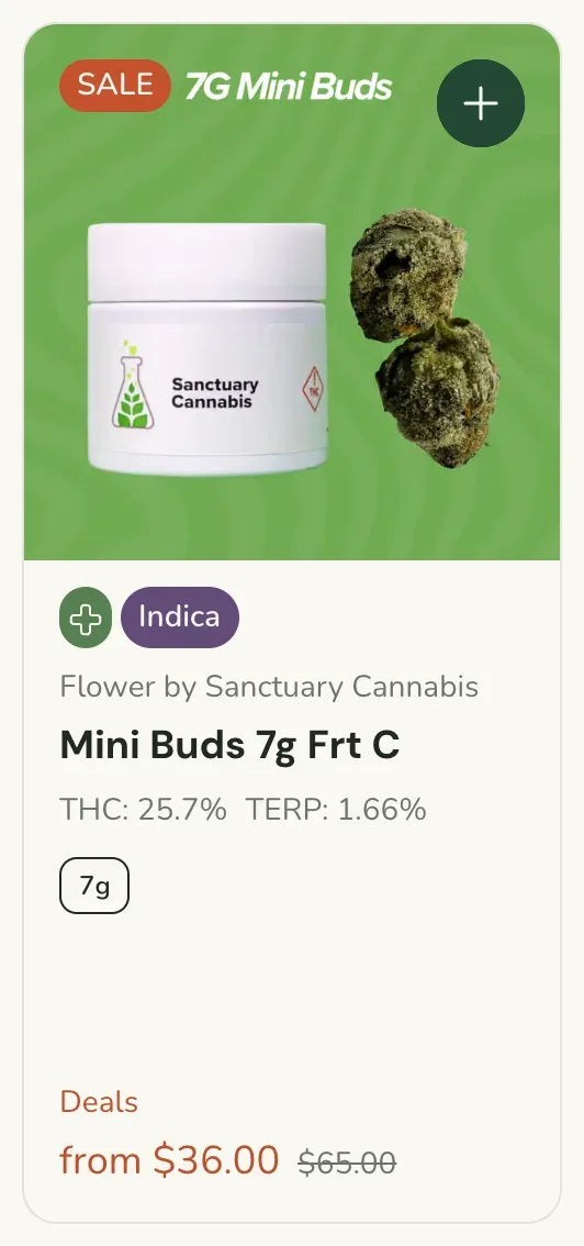 Sanctuary Cannabis: 7G Mini Buds Frt C - Now $36.00, flower deal in Florida