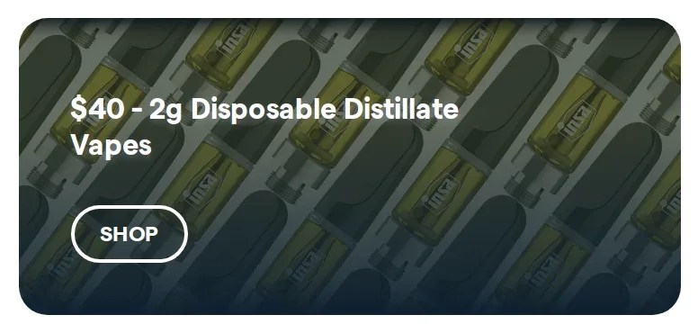 Insa: $40 - 2g Disposable Distillate Vapes in Florida