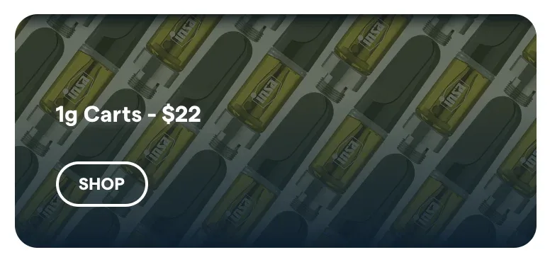 Insa: 1g Carts - $22, vapes deal in Florida