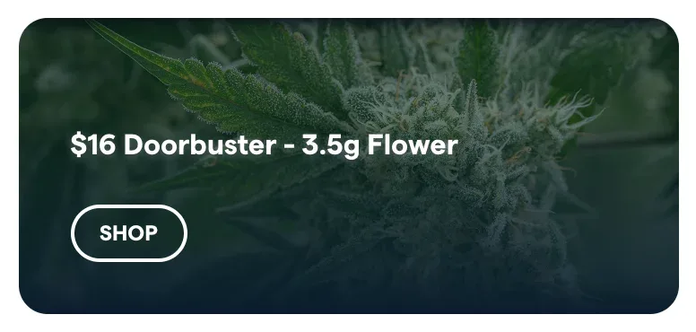 Insa: $16 Doorbuster - 3.5g Flower in Florida