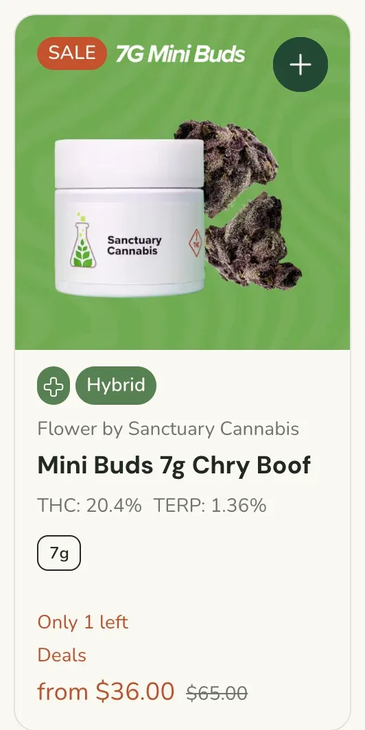 Sanctuary Cannabis: Mini Buds 7g Chry Boof, flower deal in Florida