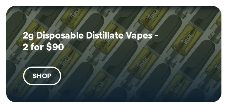 Insa: 2g Disposable Distillate Vapes - 2 for $90, oferta de vapeadores en Florida