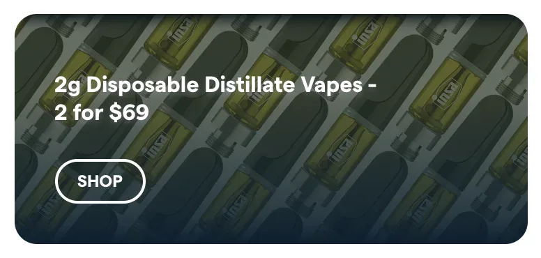 Insa: 2g Disposable Distillate Vapes - 2 for $69 in Florida