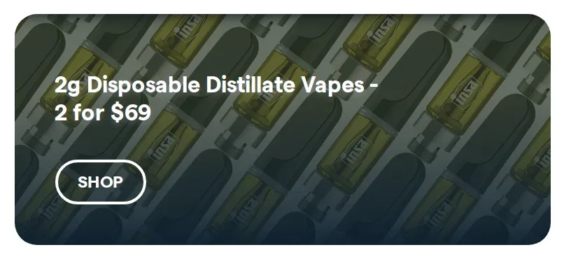Insa: 2g Disposable Distillate Vapes - 2 for $69 in Florida
