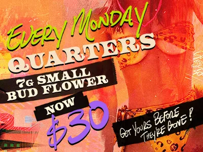 Sunburn: Every Monday - Small Bud Flower Now $30 in Florida