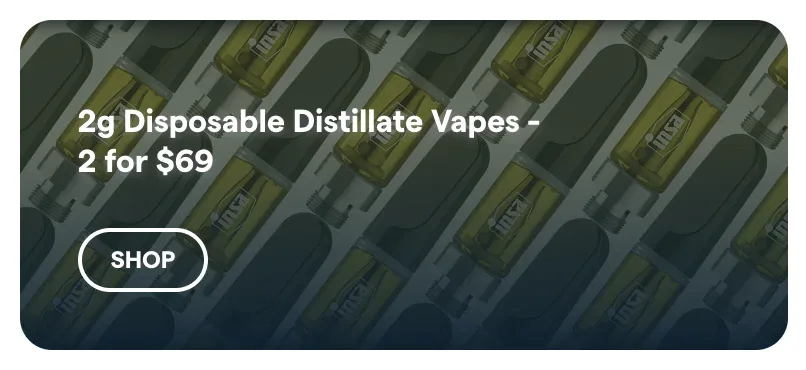Insa: 2g Disposable Distillate Vapes - 2 for $69 in Florida