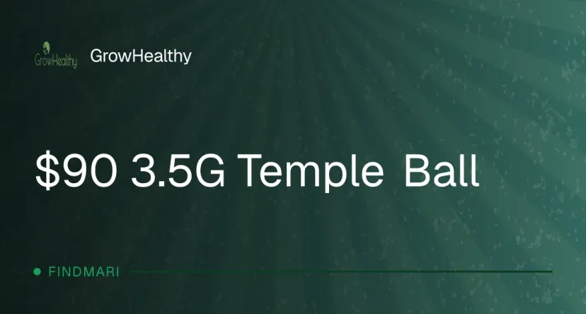GrowHealthy: $90 3.5G Temple Ball, oferta de concentrados en Florida